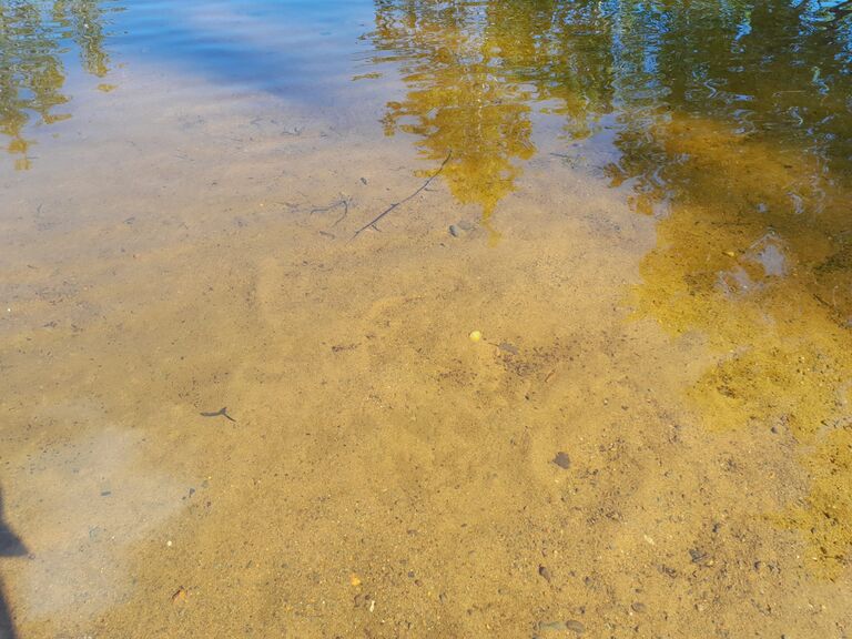 IMG-20260608-WA0003.jpg
