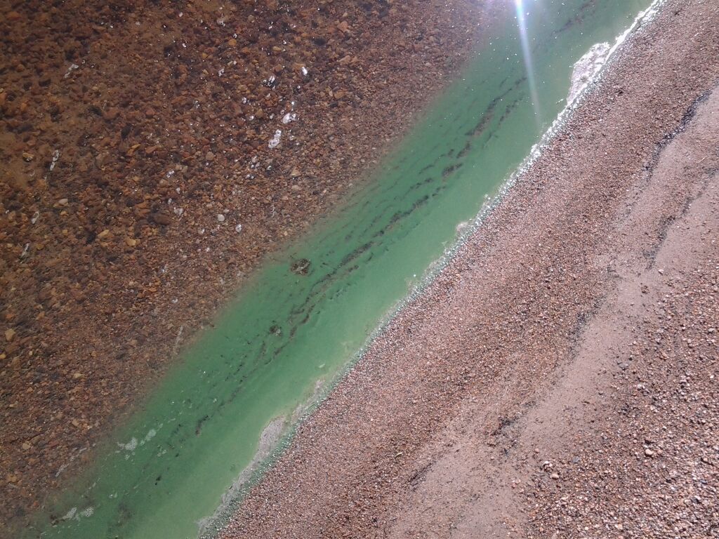 Pielinen (04.411.1.001)-Havaintopaikka 1-ObsALG-201807121027-94.jpg