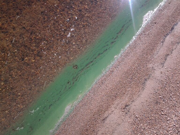 Pielinen (04.411.1.001)-Havaintopaikka 1-ObsALG-201807121027-94.jpg