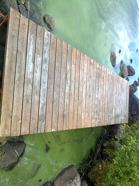 Tiedosto:Tyräjärvi (61.381.1.004)-Huononiemi 1-ObsIMG-201907201356-2.jpeg