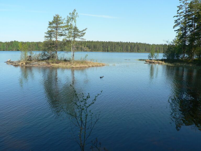 Västinluoto keväällä.JPG