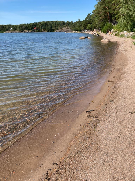 Villinki-Rotarien sinileväseuranta (Pikku Kortlahti, Hotelli Rantapuisto)-ObsIMG-202207201200-62d8396c48c52.png