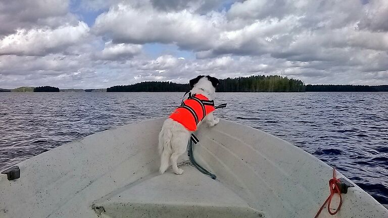 WP 20150509 11 06 35 Smart.jpg