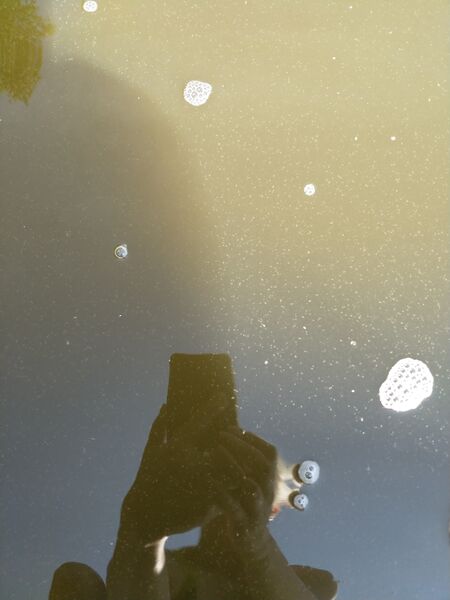 Tiedosto:Äimäjärvi (35.262.1.001)-Keikkalanranta-ObsIMG-201807241600-40.jpg