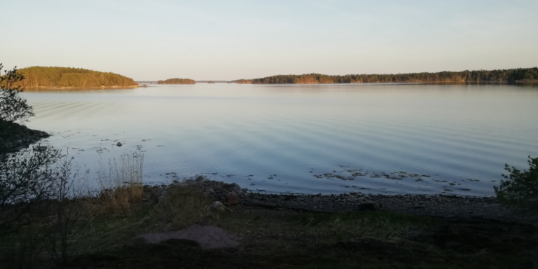 Dragsfjärdin ja Västanfjärdin sisäsaaristo-Rotarien sinileväseuranta (Östra Dalsbruk inre Bruksfjärden)-ObsIMG-202305291543-64749da15452b.png