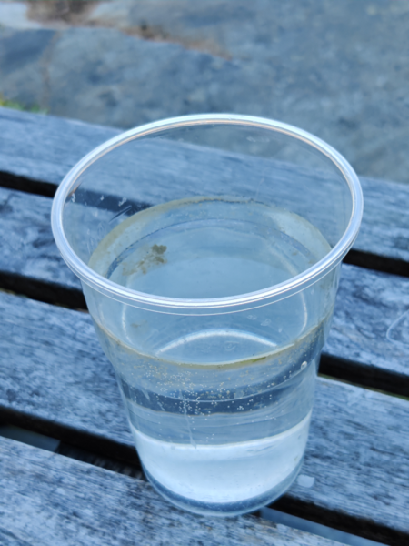 Tiedosto:Hakkenpää - Tuulvesi-Fiskori, sinilevä-ObsIMG-202107031745-60e079e58b646.png