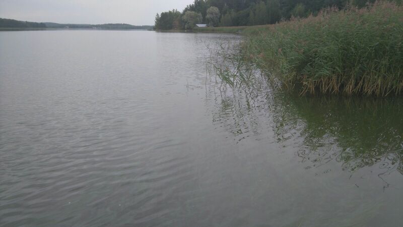 Tiedosto:Halikonlahden sisäosat-Angelansaari-ObsIMG-201708161403-35.jpg