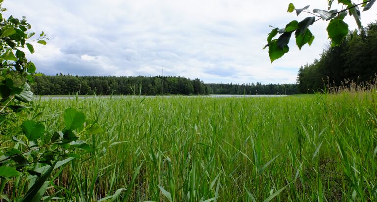 Hammarsboda trask3.jpg