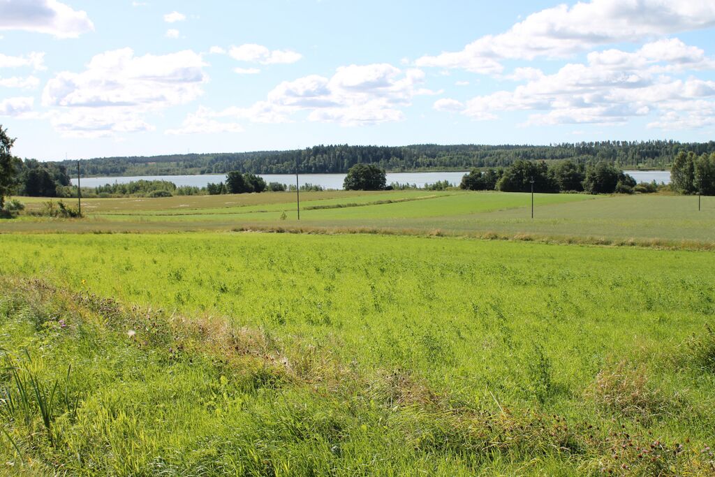 Lappböleträsk Lapinkyläntie.JPG