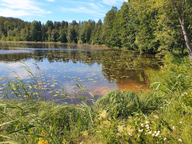 Tiedosto:Urpolanlampi (04.152.1.001)-Uusi hulevesiputki-ObsIMG-202406251154-667afba790dc2.png