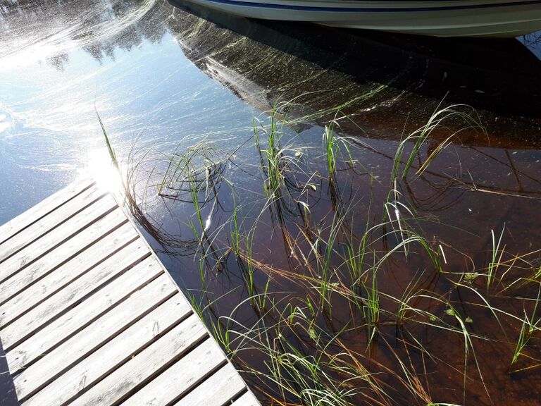 20210727 Ähtärinsalmi.jpg