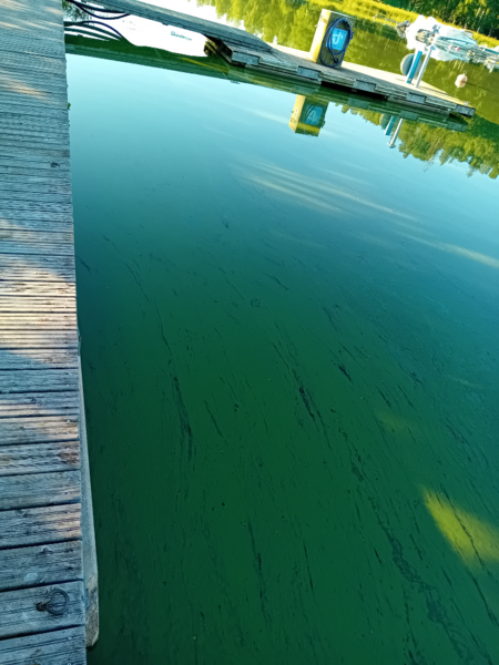 Tiedosto:Hiidenvesi (23.031.1.001)-Kirkonkylän veneranta-ObsIMG-202407130831-669211be81ec4.png