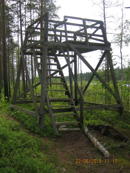 Tiedosto:Isojarven nakotorni.JPG