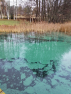 Kotajärvi (14.133.1.001)/Kotajärven uimaranta