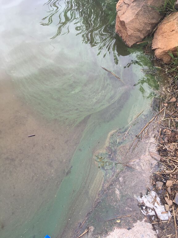 Oulun edusta-Kiviniemen kalasatama, veneen laskupaikka-ObsIMG-201807221539-27.jpg