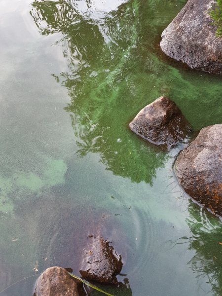 Tiedosto:Uurajärven - Iijärven alue (59.412)-Säätila-ObsIMG-202207211754-62d969a47fcc2.png