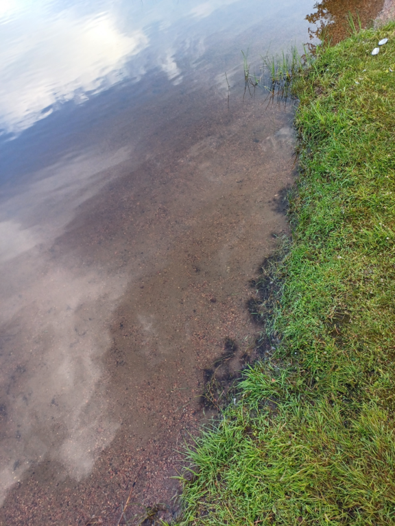 Iso-Lano (35.833.1.001)-Rotarien sinileväseuranta (Lanonpohja)-ObsALG-202506172119-1750304673331.png