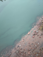 Kotkan edustan sisäsaaristo/Lehmäsaari