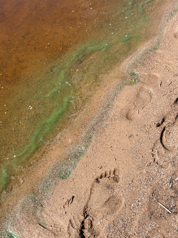 Kuortaneenjärvi (44.041.1.001)-Kirkkoranta-ObsIMG-202507181341-687a256b506b1.png