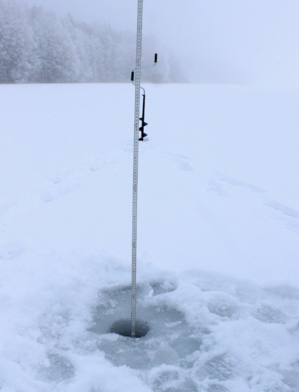 Sääksjärvi (23.097.1.002)-Sääksjärvi-ObsICE-202301221430-63cd3fe16f708.png