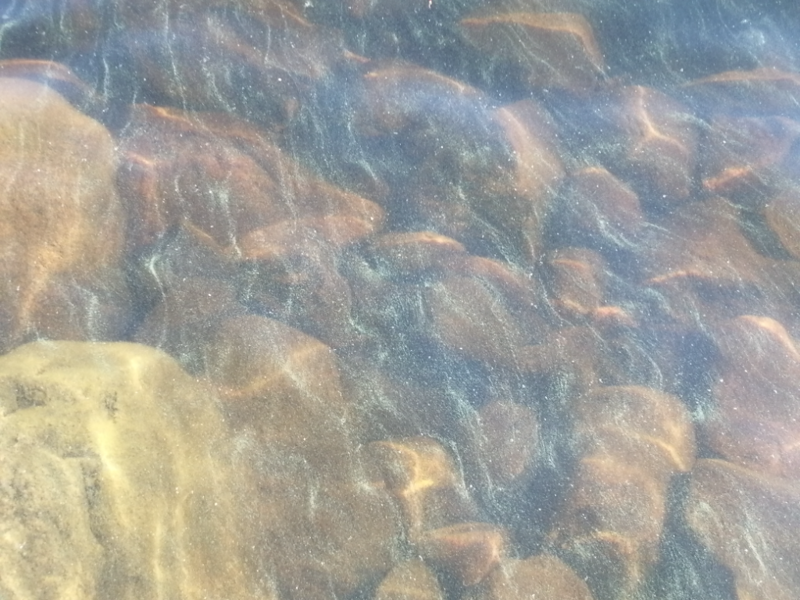 Tiedosto:Saimaa (04.112.1.001)-Petraselkä-ObsALG-202208091727-62f26f81a3308.png