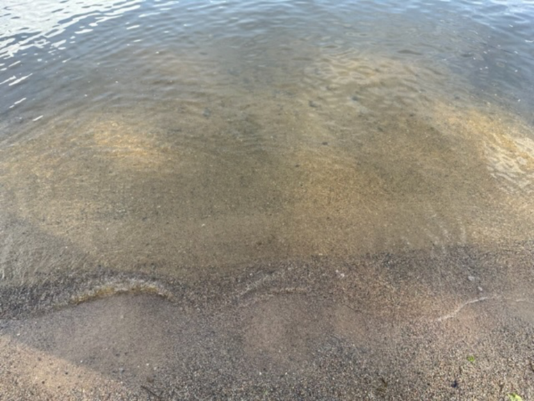 Ukonvesi (Saimaa) (04.151.1.001)-Koivukummunpolku-ObsALG-202306211943-649328cb45cf9.png