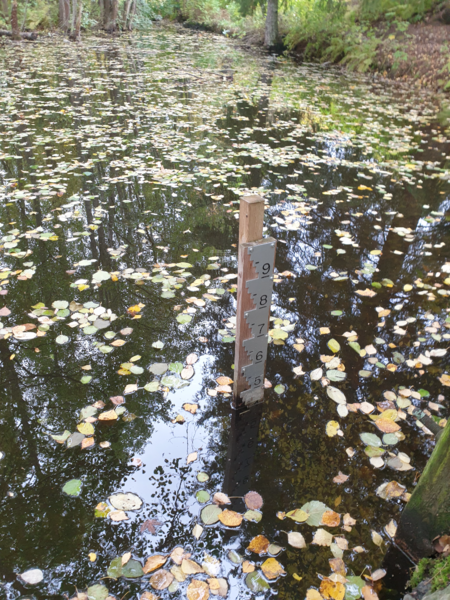 Tiedosto:Urpolanjoen valuma-alue (04.152)-Urpolan aarimaan puistoväylän silta-ObsIMG-202510081111-1759911141080.png