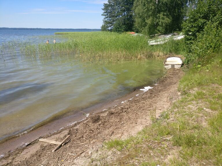 Vesijärvi (14.241.1.001)-Pirppulan uimaranta-ObsALG-201806281359-81.jpg