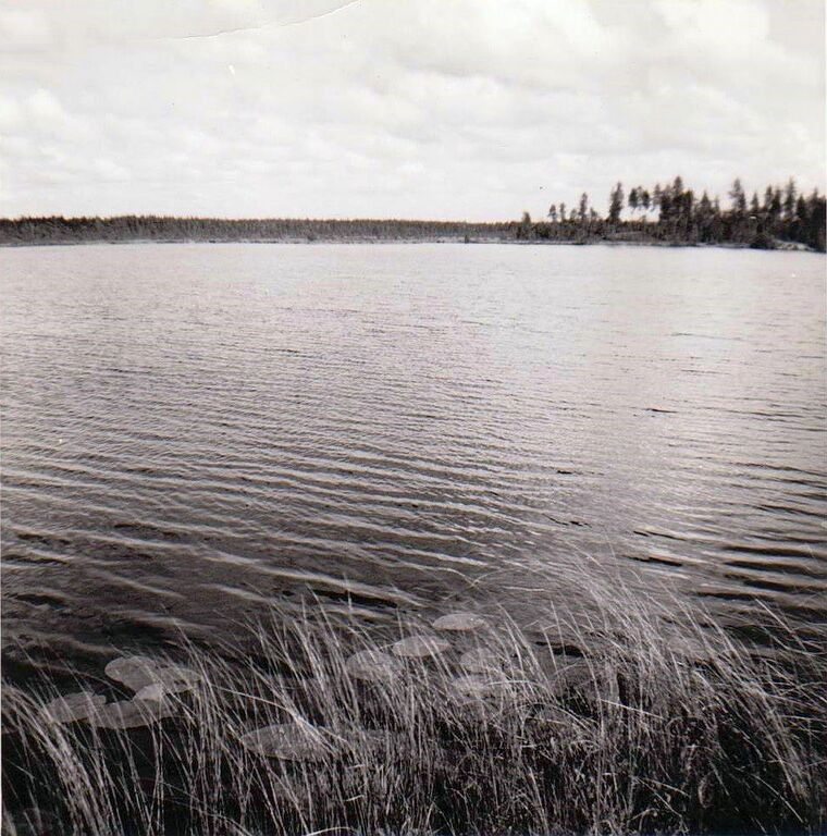 Yrttilampi Vieskojen rajalla.jpg