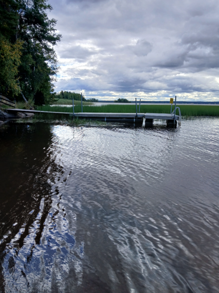 Tiedosto:Alajärvi (47.043.1.001)-Valtakunnallinen sinileväseuranta (Hoiskon uimapaikka)-ObsALG-202508191254-1755597345229.png