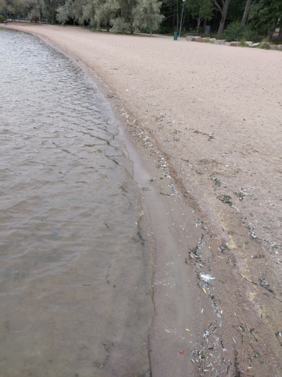 Espoonlahti-Rotarien sinileväseuranta (Kivenlahden uimaranta)-ObsIMG-202209051457-6315e463634cb.png