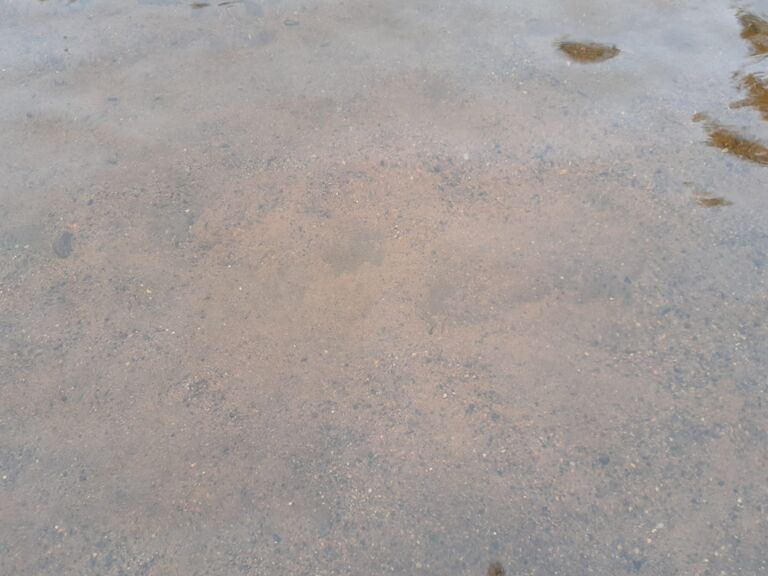 IMG-20260616-WA0000.jpg