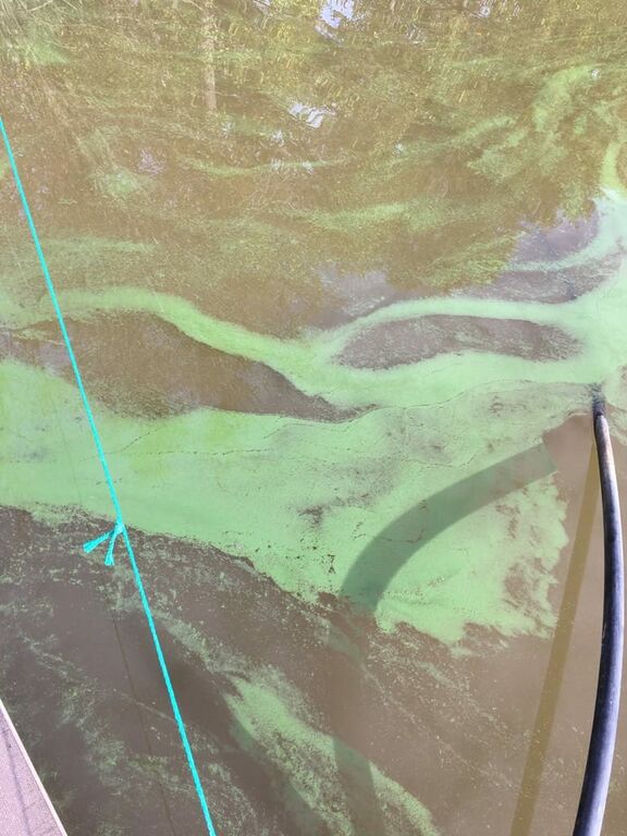 Jalanti (35.281.1.002)-Vuoltee-ObsIMG-201909292122-14.jpg