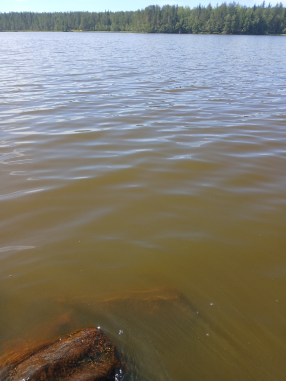 Konsajärvi (65.592.1.017)-Hevoskummun Upseeriparantola-ObsALG-202508081329-1754649165421.png