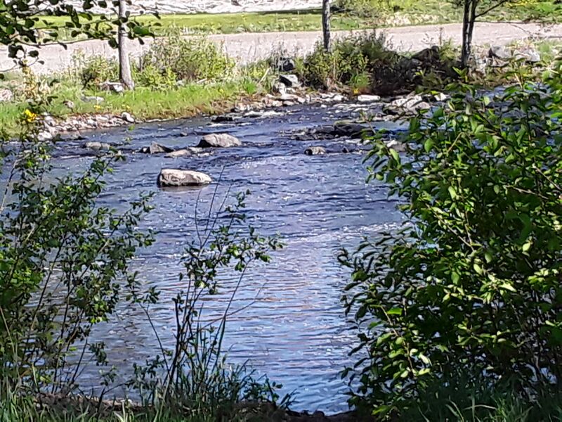 Tiedosto:Merikarvianjoen suualue (36.011)-Holmankoski-ObsIMG-201805211145-2.jpg