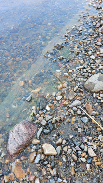 Pielinen (04.411.1.001)-Murikan Maja, Ahveninen-ObsALG-202507231227-6880ab8eccca7.png