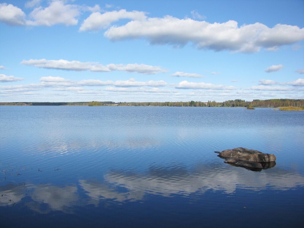 Sääksjärvi 2390.JPG