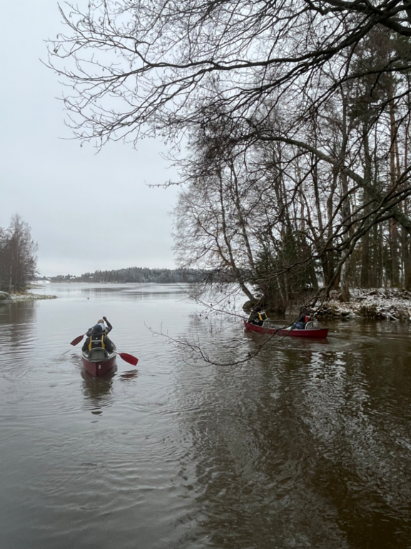 Ahtialanjärvi (35.221.1.001)-Virta kampuksen lintutorni-ObsIMG-202311151028-6554852e6a827.png