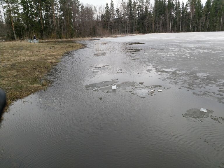 Hulkkianjärvi (11.006.1.014)-Havainnot-ObsICE-201904191800-8.jpg