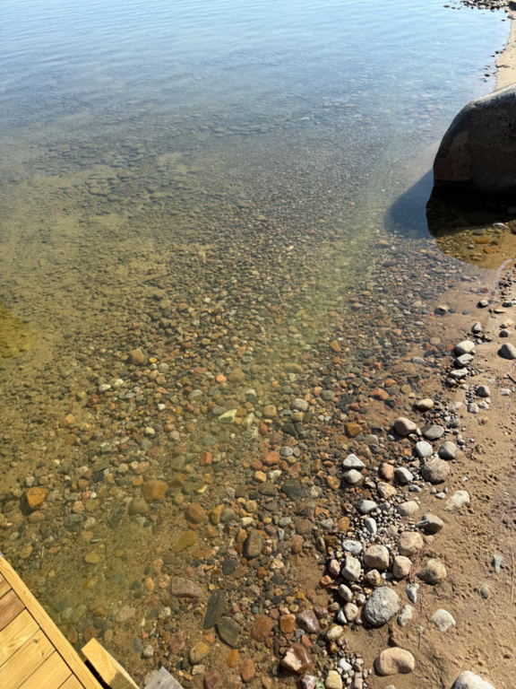 Puruvesi (Saimaa) (04.181.1.001)-Putkiniemi-ObsALG-202507141029-6874b2cd83819.png