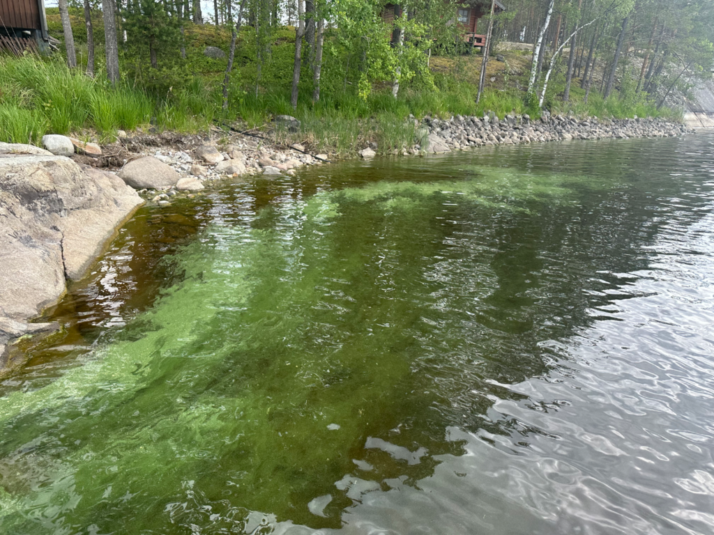 Haukiveden lähialue (04.211)-Kalmoluoto-ObsIMG-202506231247-1750672200852.png