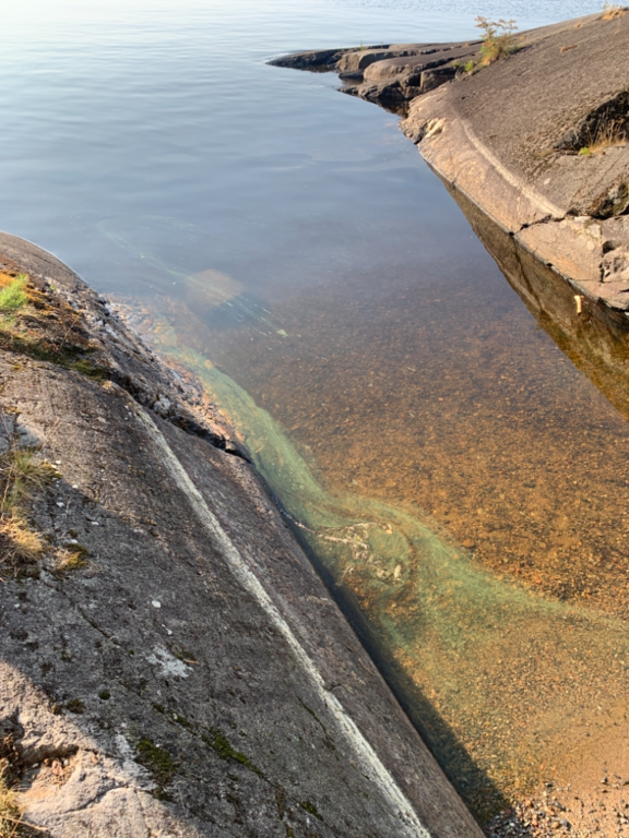 Haukivesi (Saimaa) (04.211.1.001)-Sulosaari-ObsIMG-202107261816-60fed25eaedc8.png