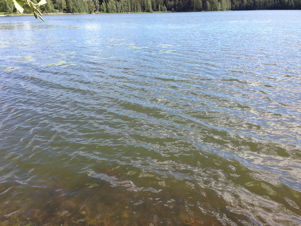 Levatarkkailua 2013 001.jpg