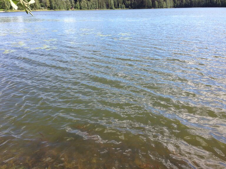 Levatarkkailua 2013 001.jpg