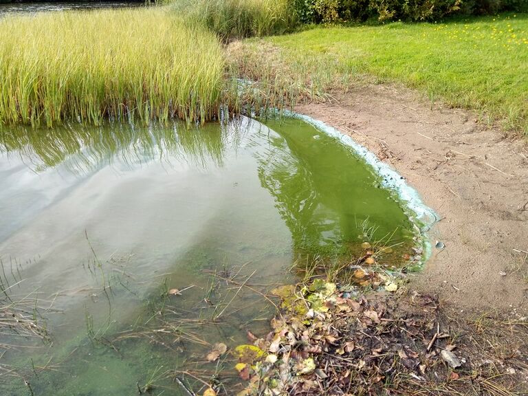 Linnansalmen uimaranta 3.9.2019.jpg