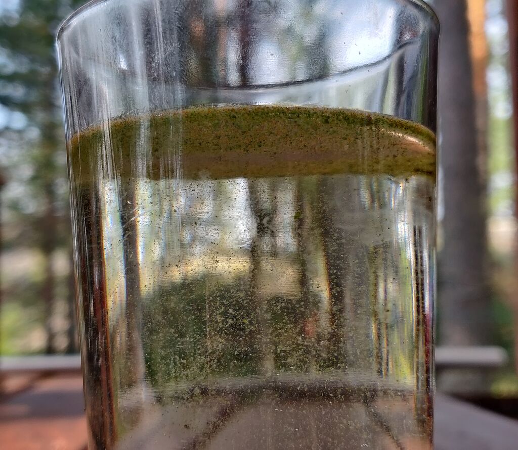 Pihlajavesi (Saimaa) (04.121.1.001)-Kesamonsaari-ObsALG-202008091145-51.jpg