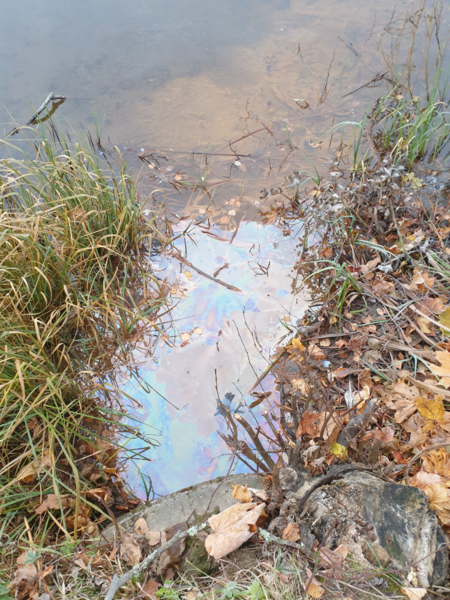 Tiedosto:Urpolanlampi (04.152.1.001)-Uusi hulevesiputki-ObsIMG-202411010743-672480bd43c17.png