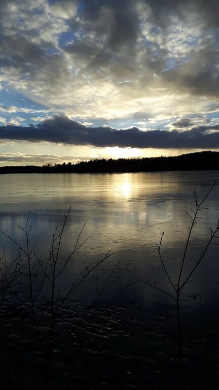 Valkjärvi (35.823.1.003)-Valkjärvi Oitti Puujaa-ObsIMG-201703281911-89.jpg