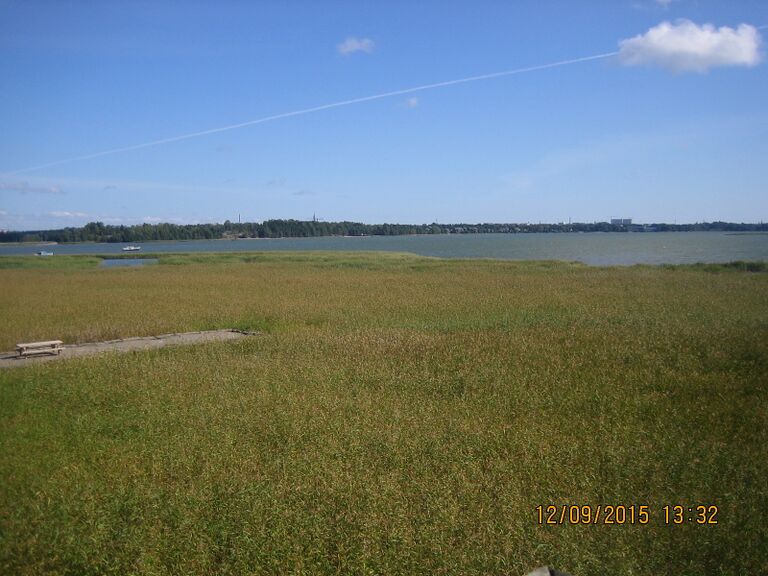 Elfvikin lintutornista etuvasemmalle.JPG