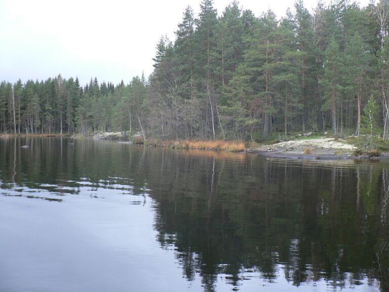 Kallionotalta pohjoiseen.JPG